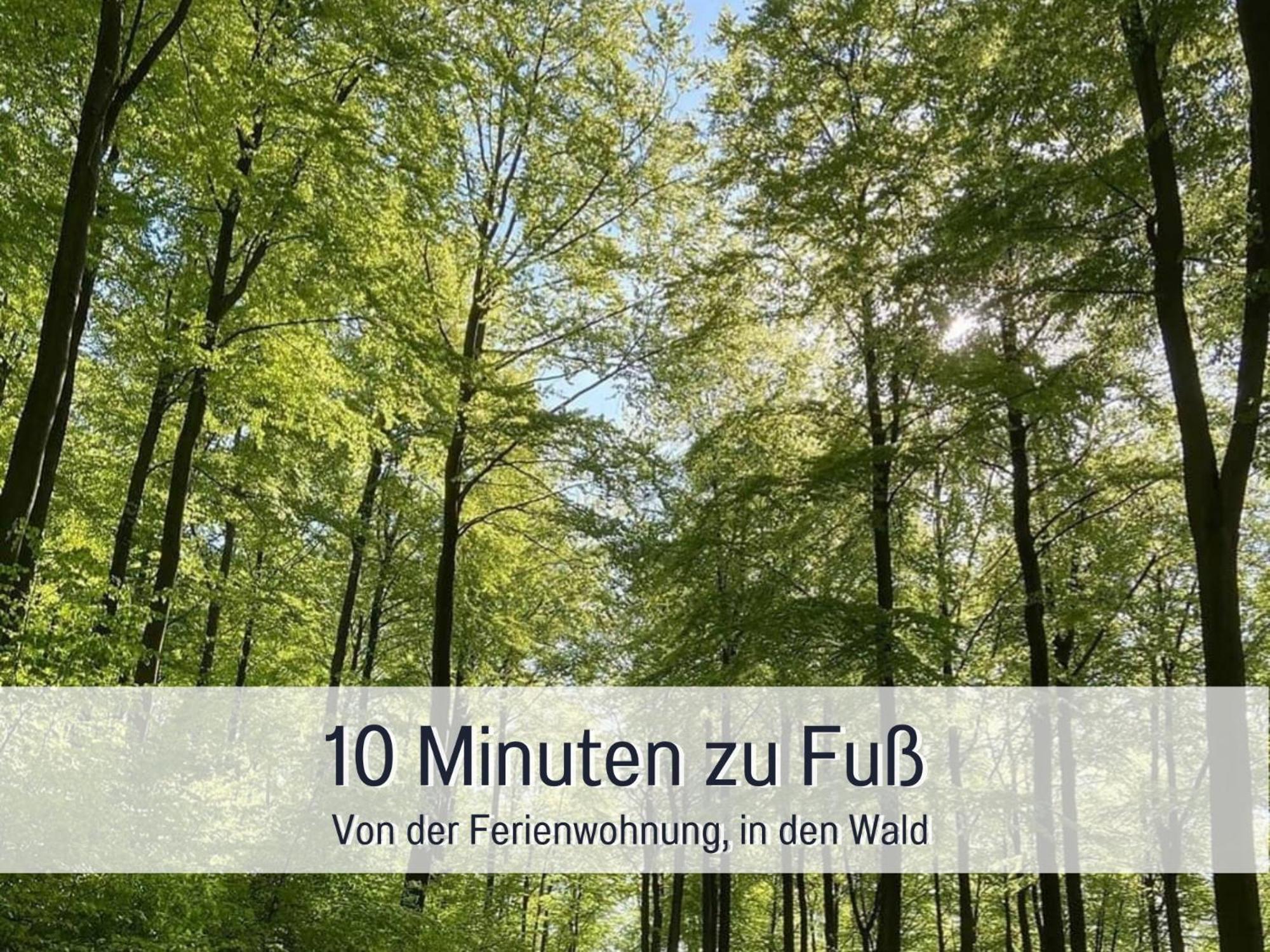 Am Feldrain - Urlaub Mit Hund Im Weserbergland ハノーファーシュ・ミュンデン エクステリア 写真