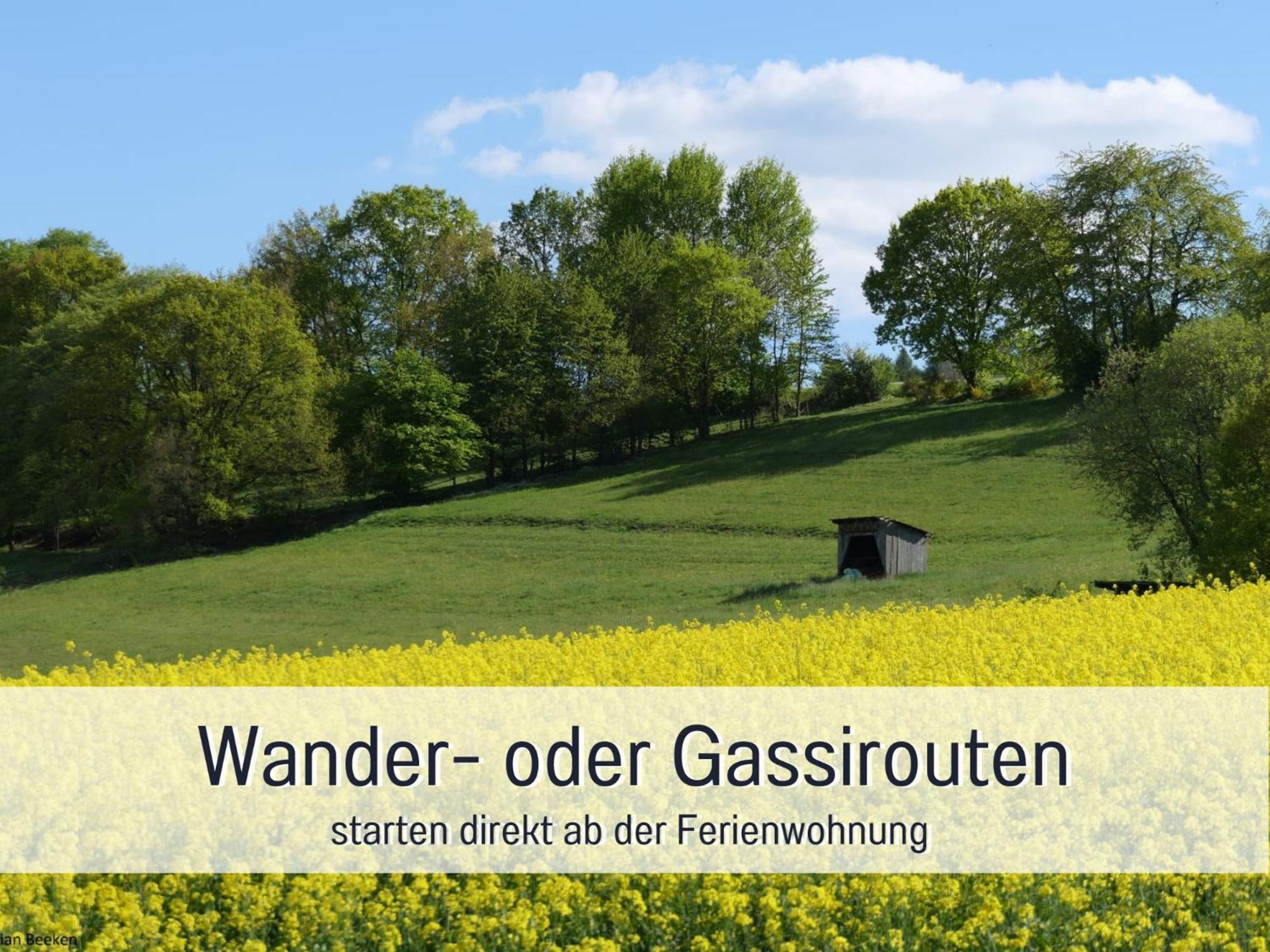 Am Feldrain - Urlaub Mit Hund Im Weserbergland ハノーファーシュ・ミュンデン エクステリア 写真